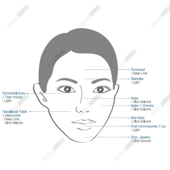 Elravie Premier - Image 4