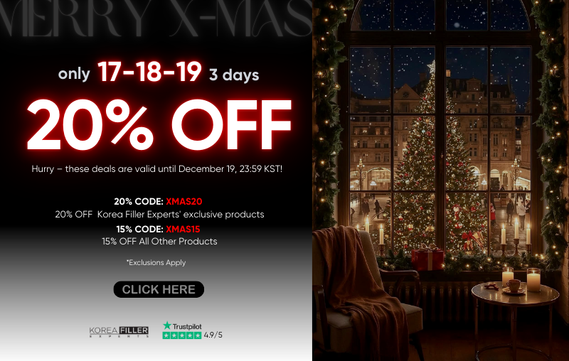 Christmas Xmas discount