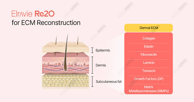 Elravie Re2O - Image 5